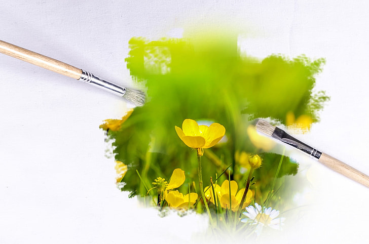 yellow petaled flowers and paint brushes