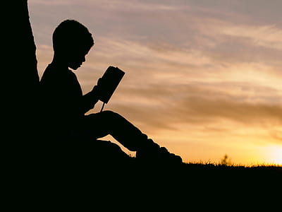 silhouette of boy reading book near tree during sunset