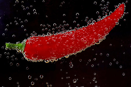 red pepper illustration