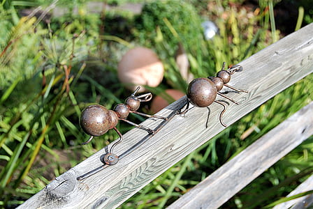 two brown steel ant decors