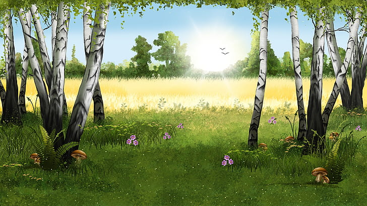 forest drawing background