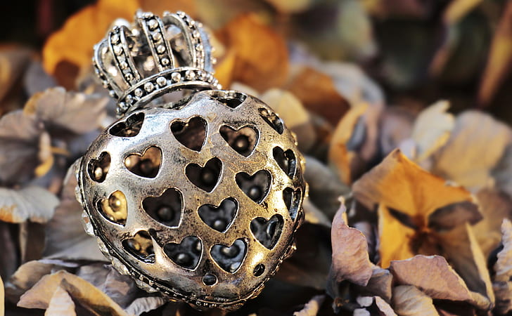 silver-colored encrusted heart and crown pendant selective focus photography