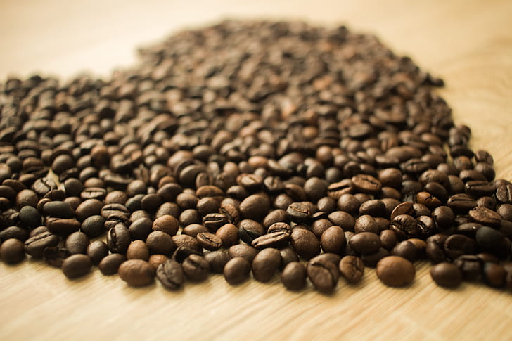 Coffee Beans in a Camera Focus Phoot