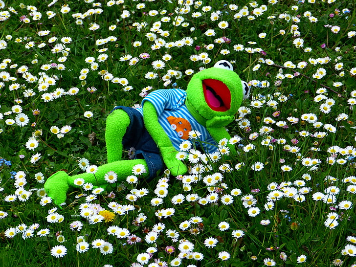 frog plush toy lying in white flowers