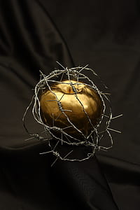 gold-colored Apple fruit with gray wire