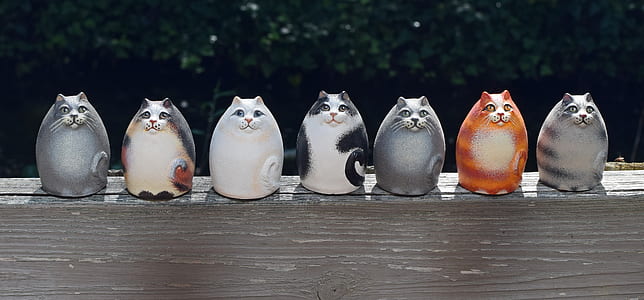 seven assorted-color cat figurines on top of brown wooden surface