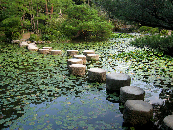 gray concrete stumps surrounded by body of water at daytime