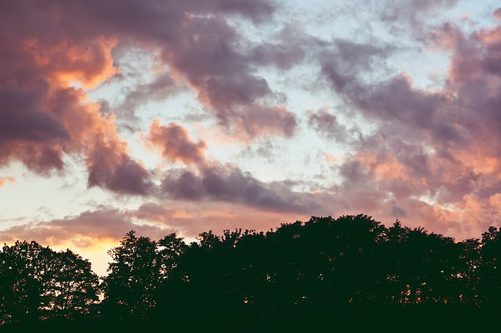 Soft Clouds Up In The Sky During Sunset by Stocksy Contributor