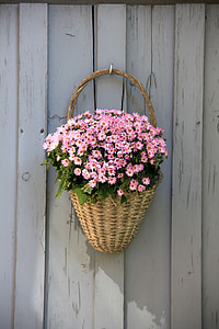 wall-mounted brown wicker basket full of pink flowers