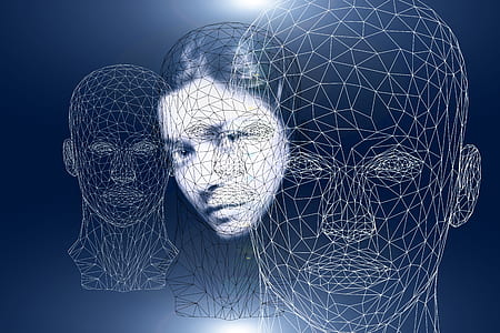 woman face structure digital wallpaper