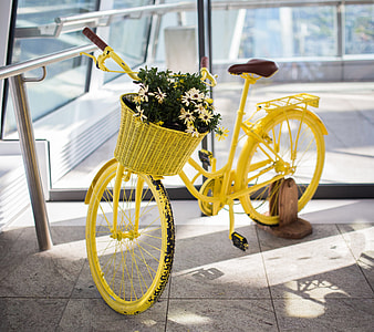 Yellow Bike Plants Flowers