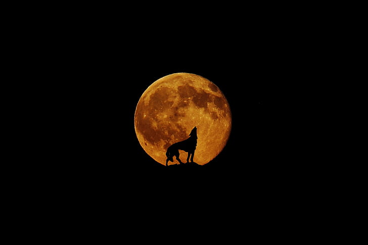 red moon wolf wallpaper