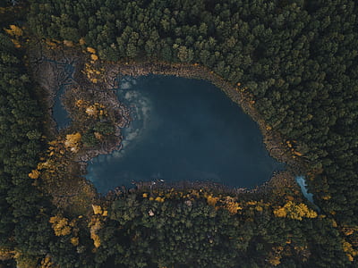 bird's eye view photo of body of water surrounded by trees