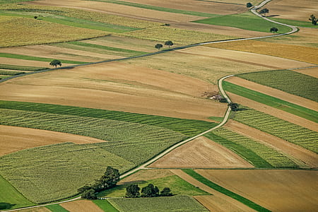 aerial photograph of brown and green field