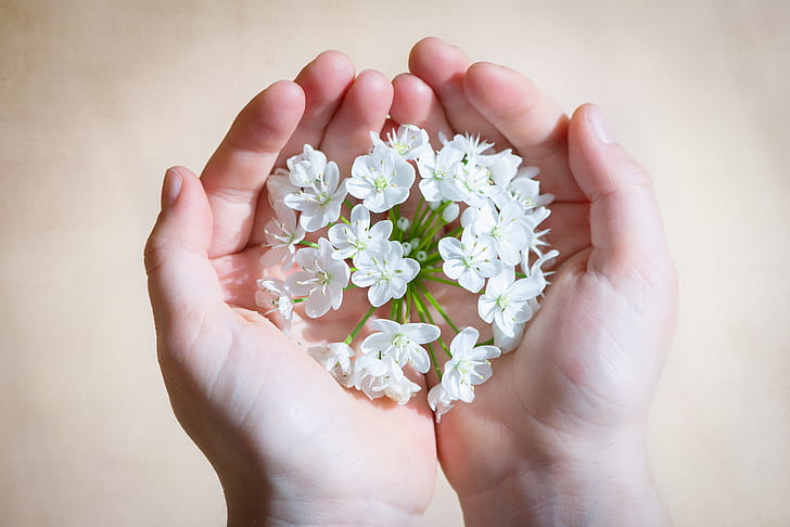 white cluster flower on person's hands