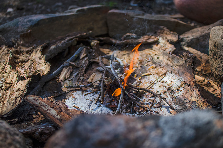 campfire, flame, twigs, firewood