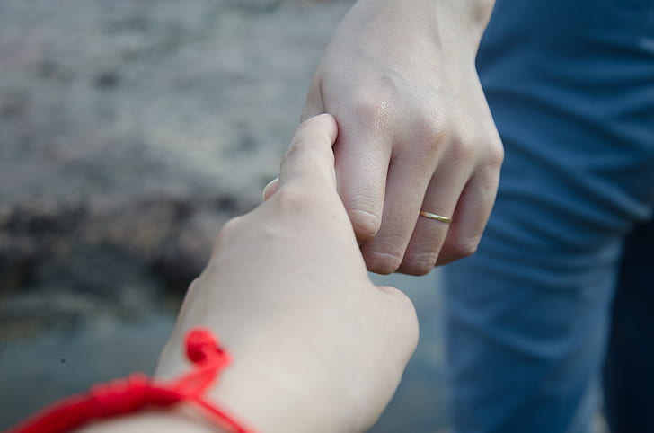 closeup photo of person's hand holding