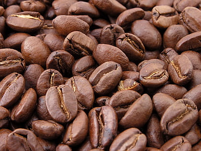 coffee bean lot