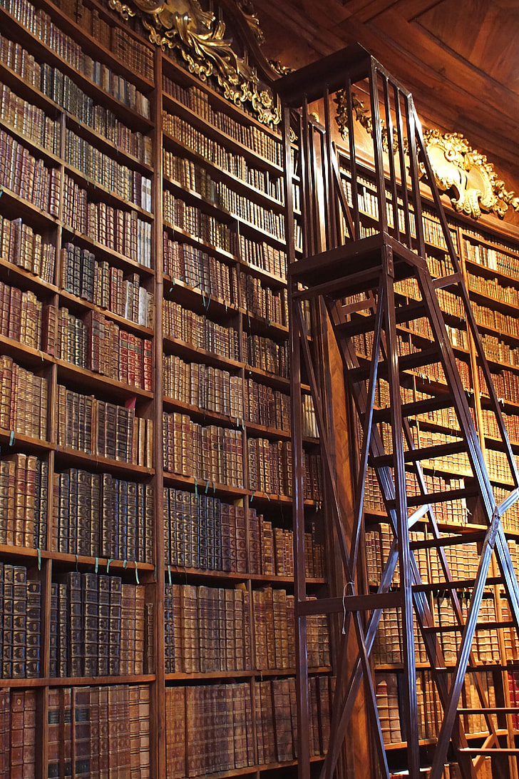 brown wooden ladder beside bookshelf inside the library
