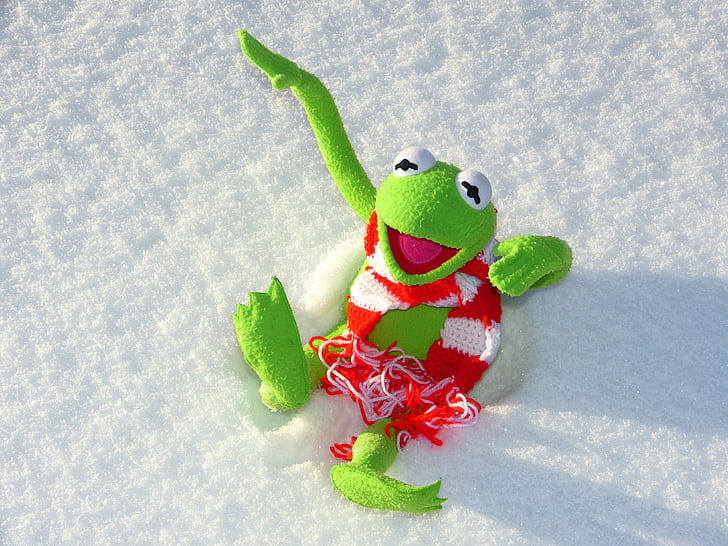 green tree frog plush toy on snow