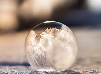 selective photo of feather snow globe