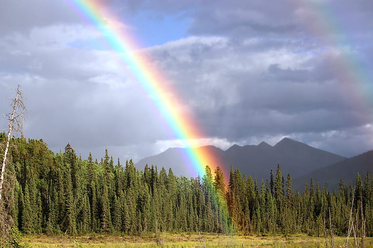 mountain with green trees and rainbow