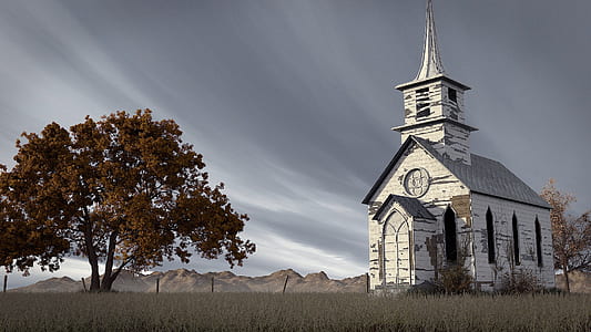 white wooden church near brown leafed tree