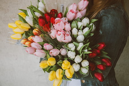 woman holds assorted-color tulip flower bundle