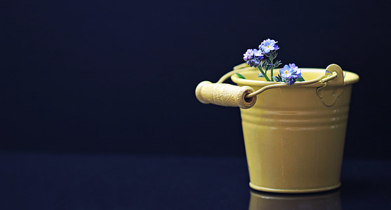 purple forget-me-not flowers in yellow meytal bucket
