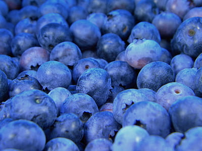 round purple fruits