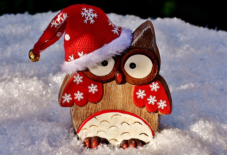 Christmas-themed owl decor