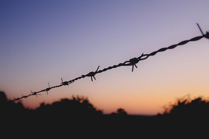 silhouette of black barb wire