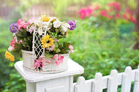 assorted-color petaled flowers in basket