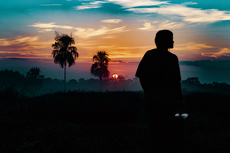 silhouette photo of human near coconut trees