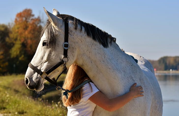 girl hugging white horse
