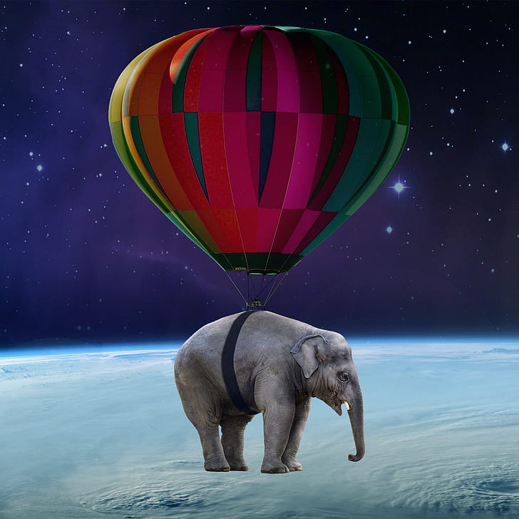 gray elephant with purple hot air balloon on top of earth surface