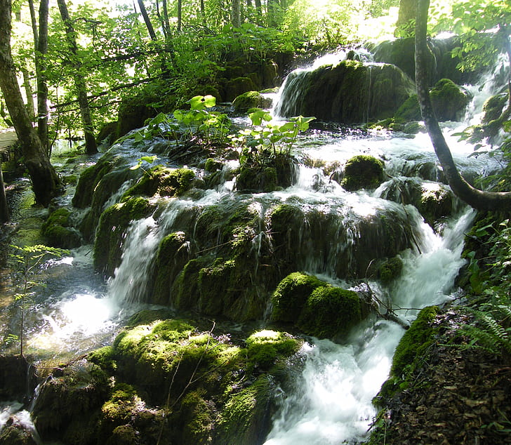 photo of waterfalls and green trees