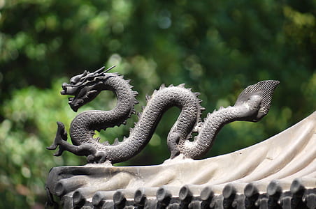 focal focus photography of dragon finial