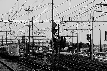 trains in train station greyscale photography