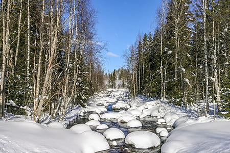 snow covered rocks on body of water between forest during daytime