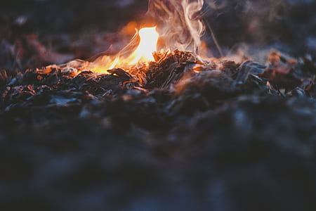 shallow focus photography of fire