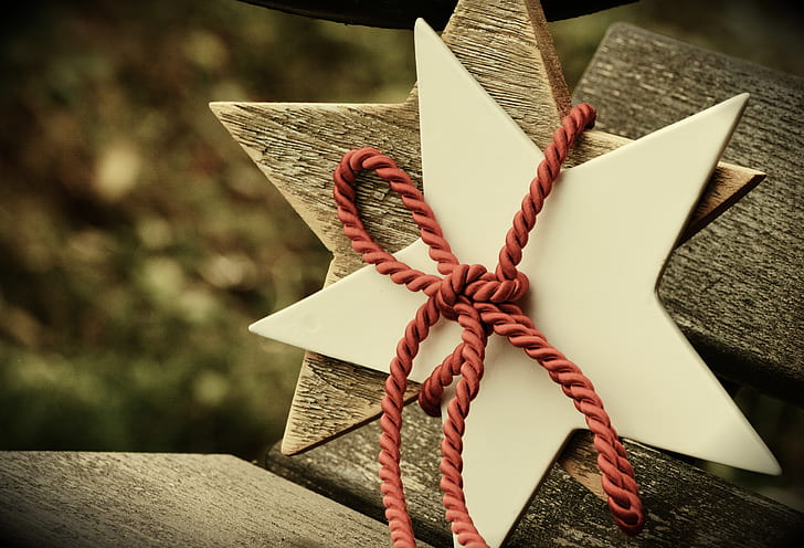brown and white stars with red rope