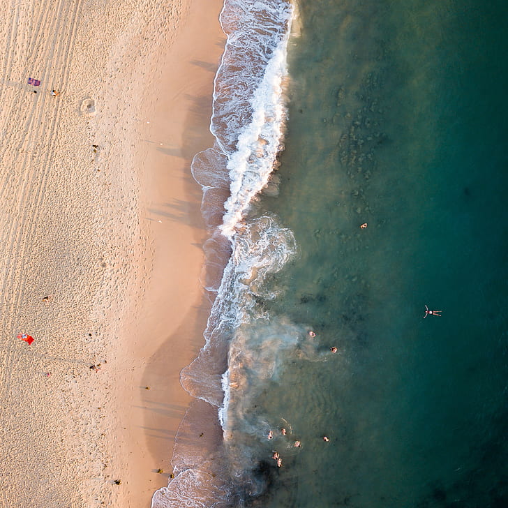 aerial view of beach shore with people swimming