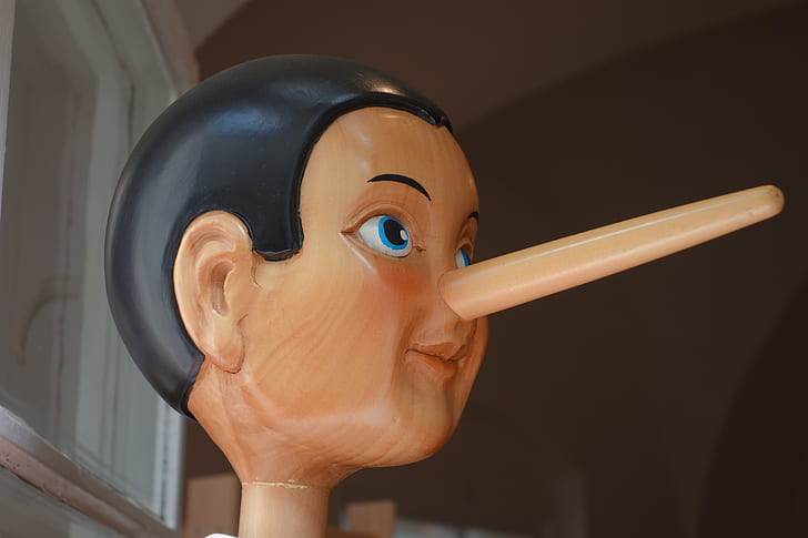 Pinocchio head bust