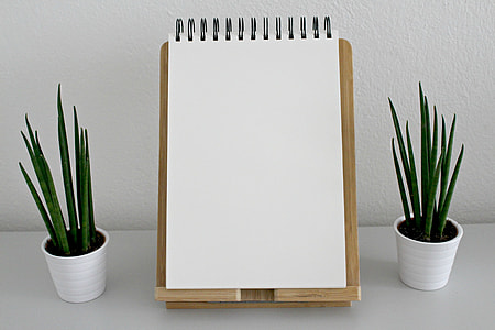 white spiral notebook with stand beside two linear leaf plants