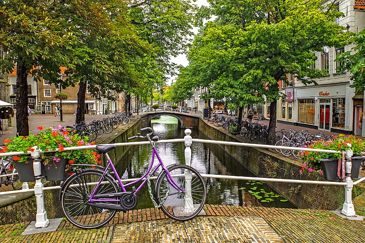 purple bicycle parked on bridge with white metal handrail at daytime