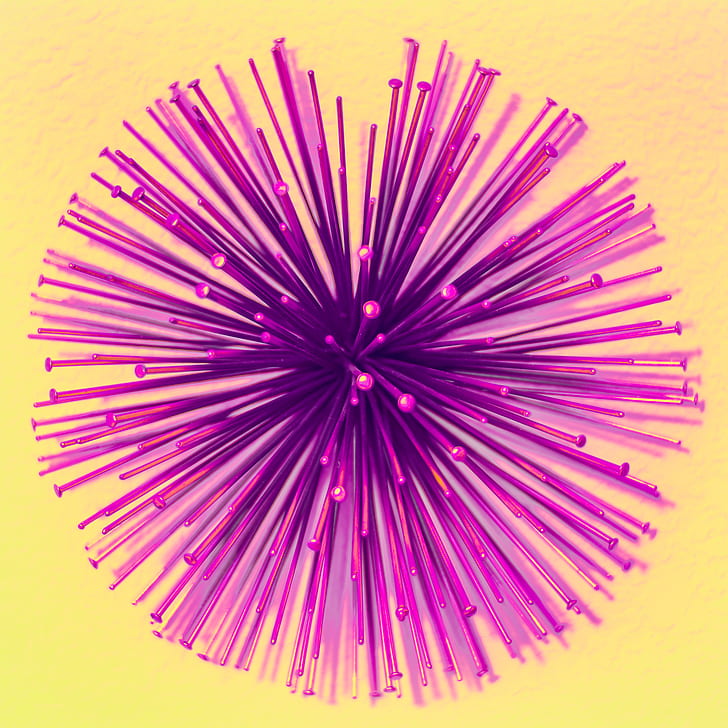 Purple Burst Digital Wallpaper