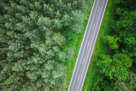 Aerial View of a Lonely Road in the Woods
