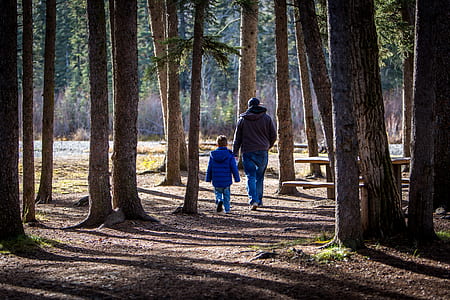 man and boy near brown tree during daytime