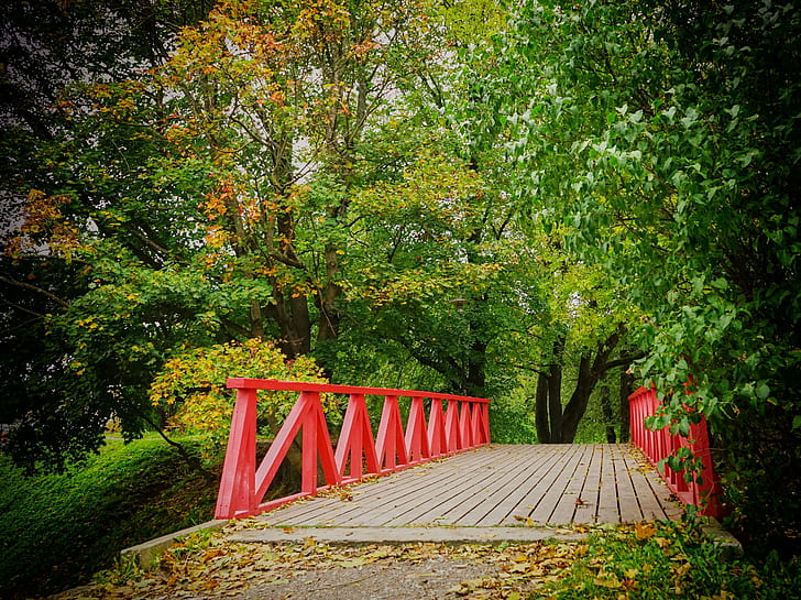 red and brown wooden bridge surrounded by green leaf trees at daytime